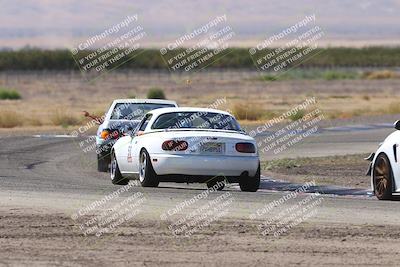 media/Oct-04-2025-OnGrid (Sat) [[44bd565ffa]]/Purple Group/Grapevine/